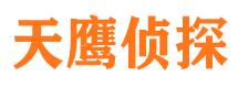 阳新市私家侦探